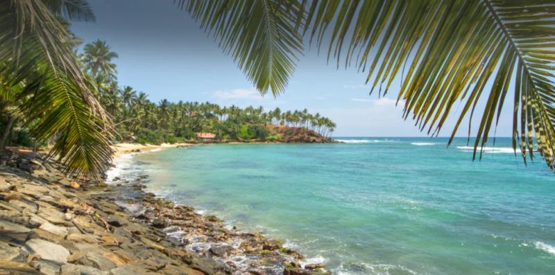 Coastal Harmony Adventure