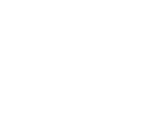 Four More Capital logo