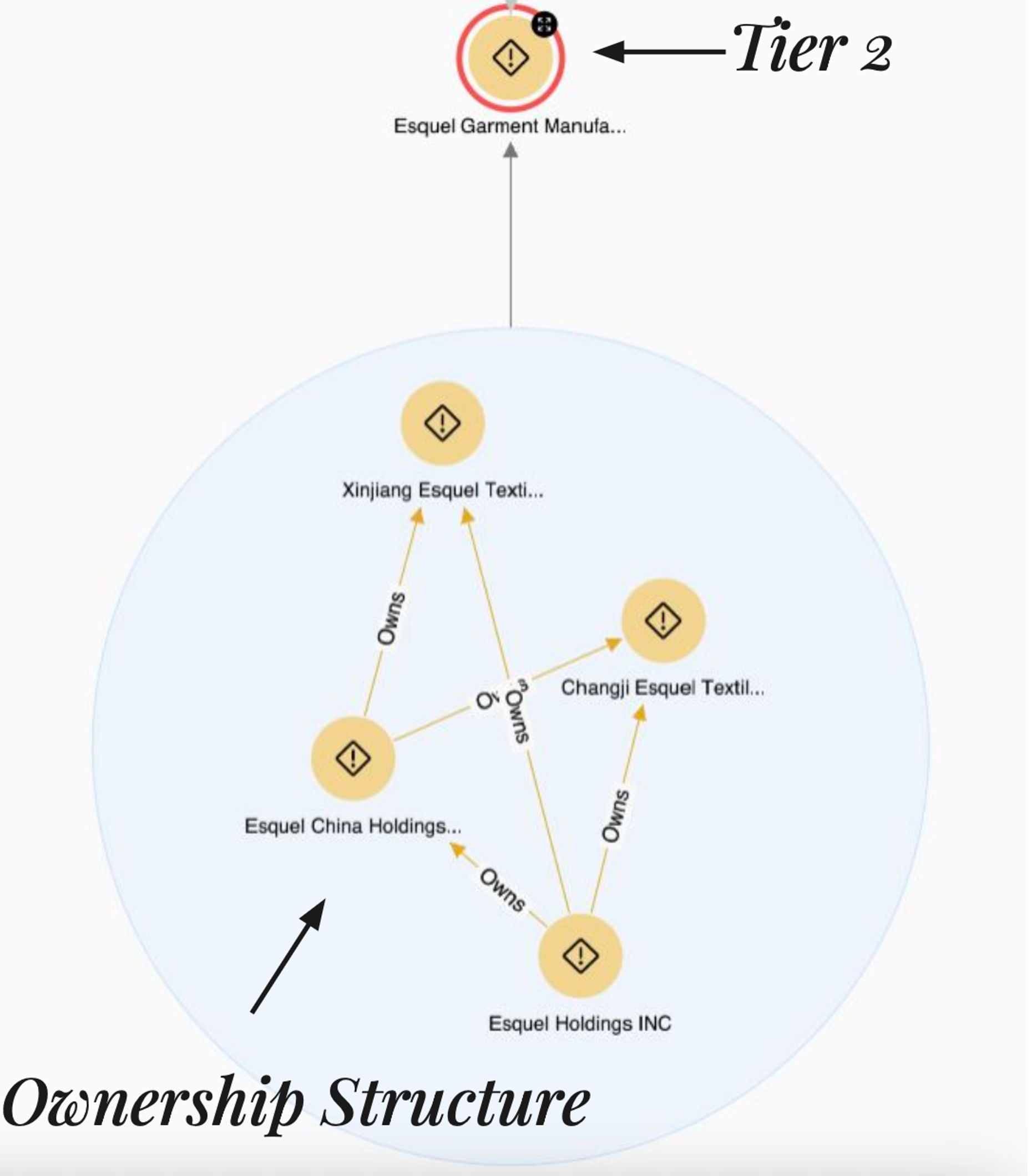 entity ownership structure in altana