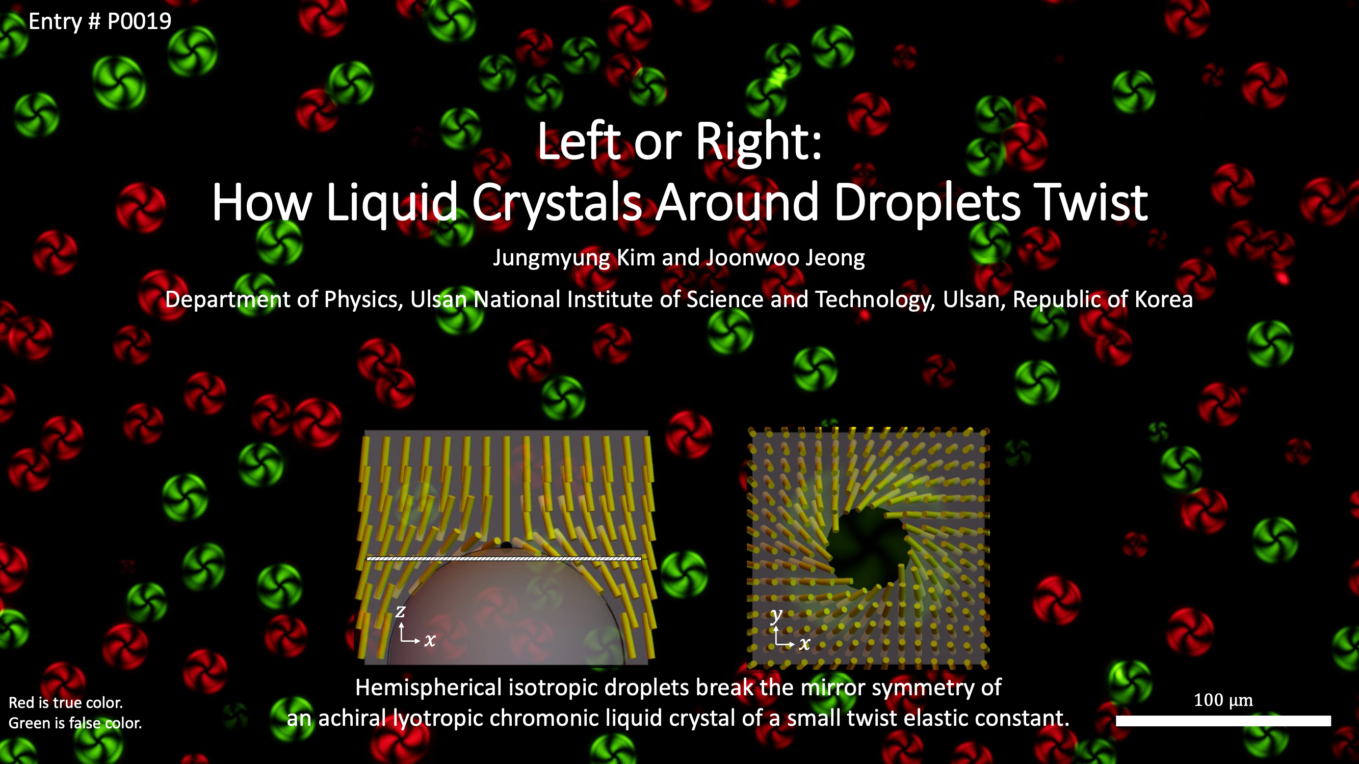 Left or Right: How Liquid Crystals Around Droplets Twist