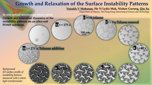 Thumbnail image for poster 'Growth and Relaxation of the Surface Instability Patterns'