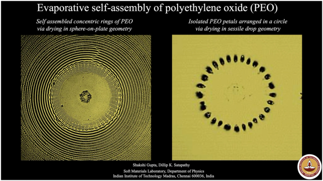 Thumbnail image for poster 'Evaporative self-assembly of polyethylene oxide (PEO) '