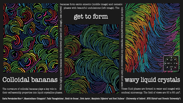 Thumbnail image for poster 'Colloidal bananas get to form wavy liquid crystals'