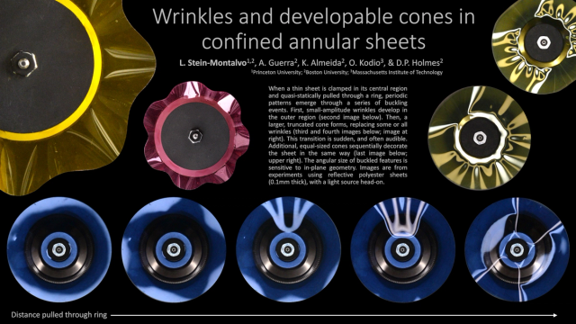 Thumbnail image for poster 'Wrinkles and developable cones in confined annular sheets'