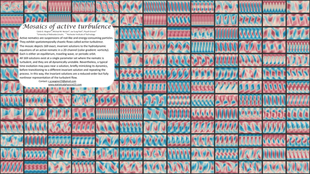 Thumbnail image for poster 'Mosaics of active turbulence'