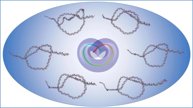 Thumbnail image for poster 'Heart-shape of DNA Knots'