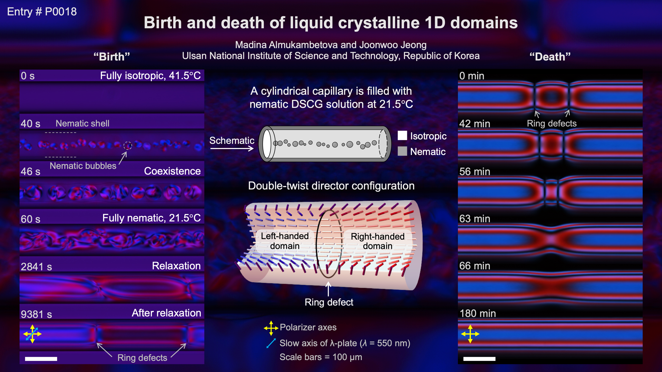 Birth and death of liquid crystalline 1D domains