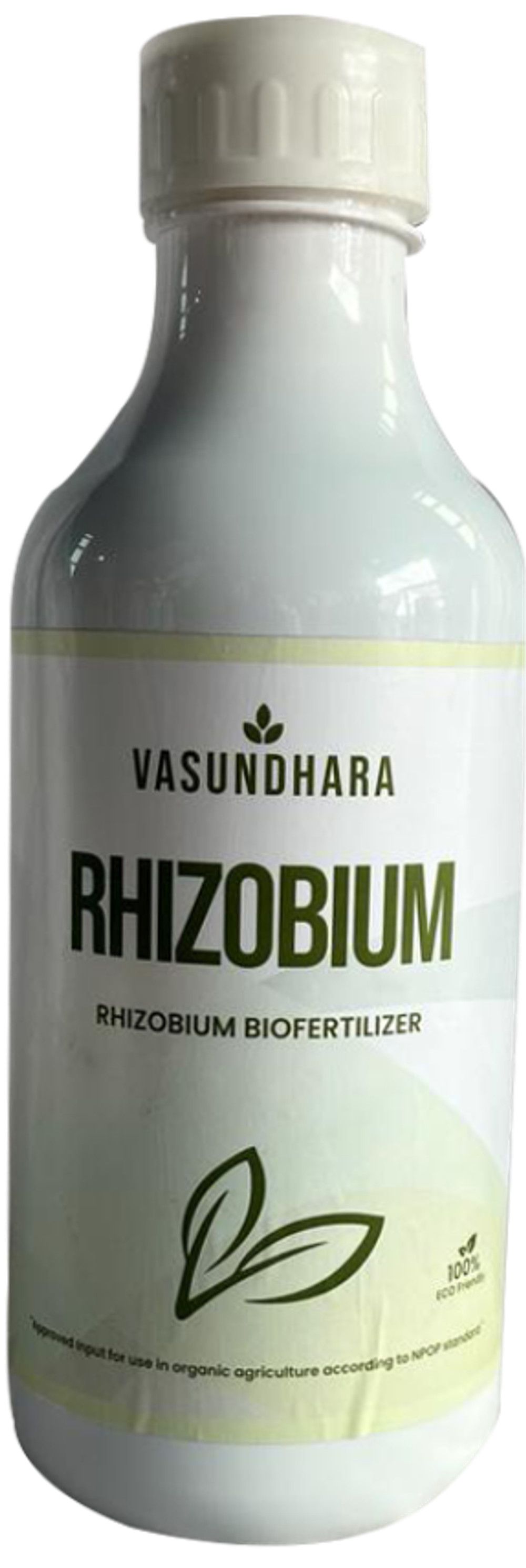 Vasundhara Rhizobium