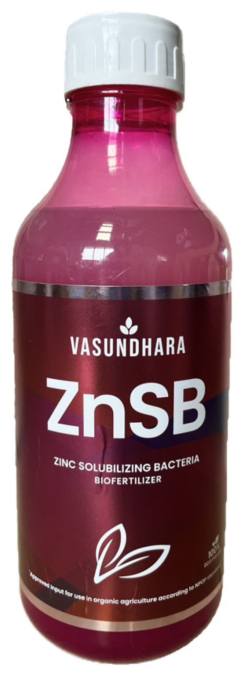 Vasundhara ZnSB