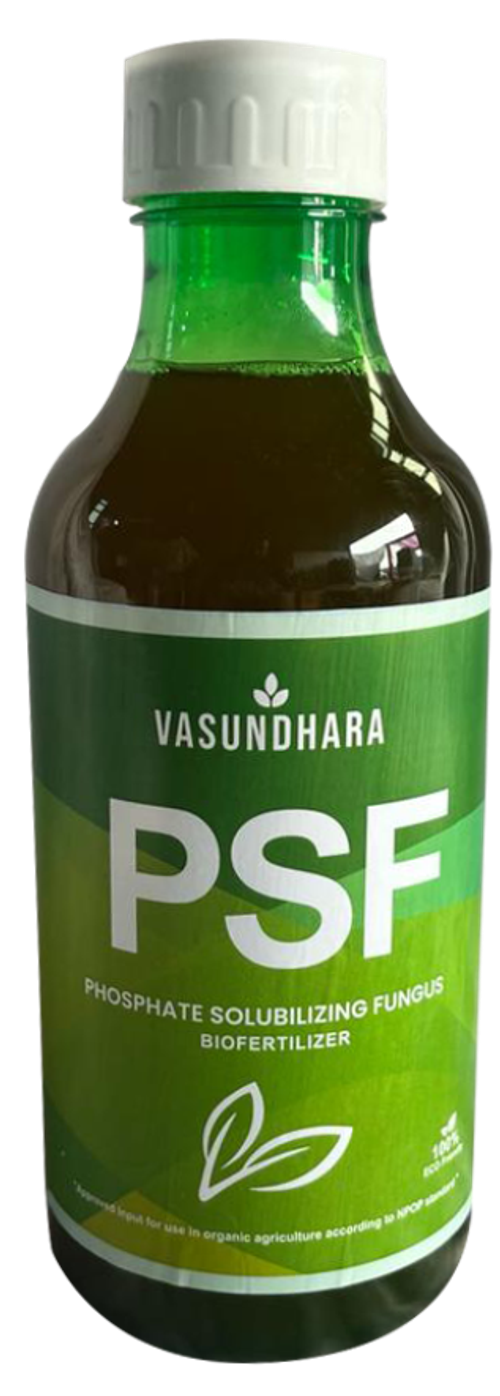 Vasundhara PSF