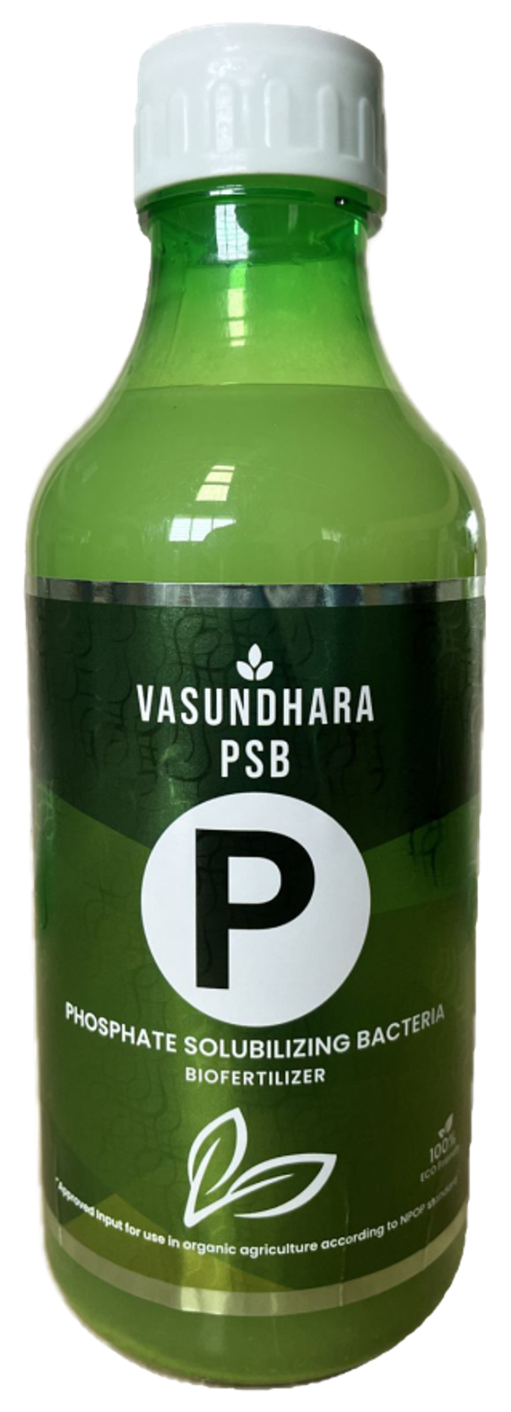 Vasundhara PSB
