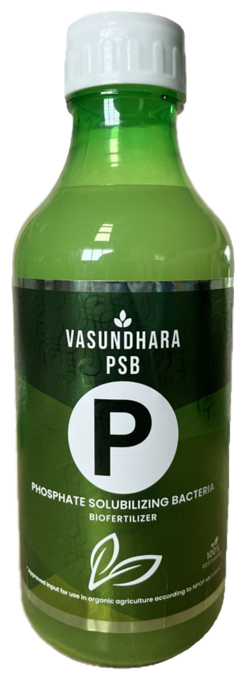 Vasundhara PSB