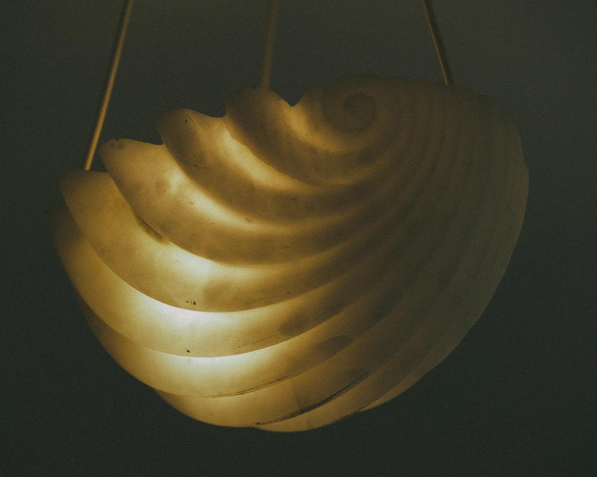 Photo d'une lampe en forme de coquillage.