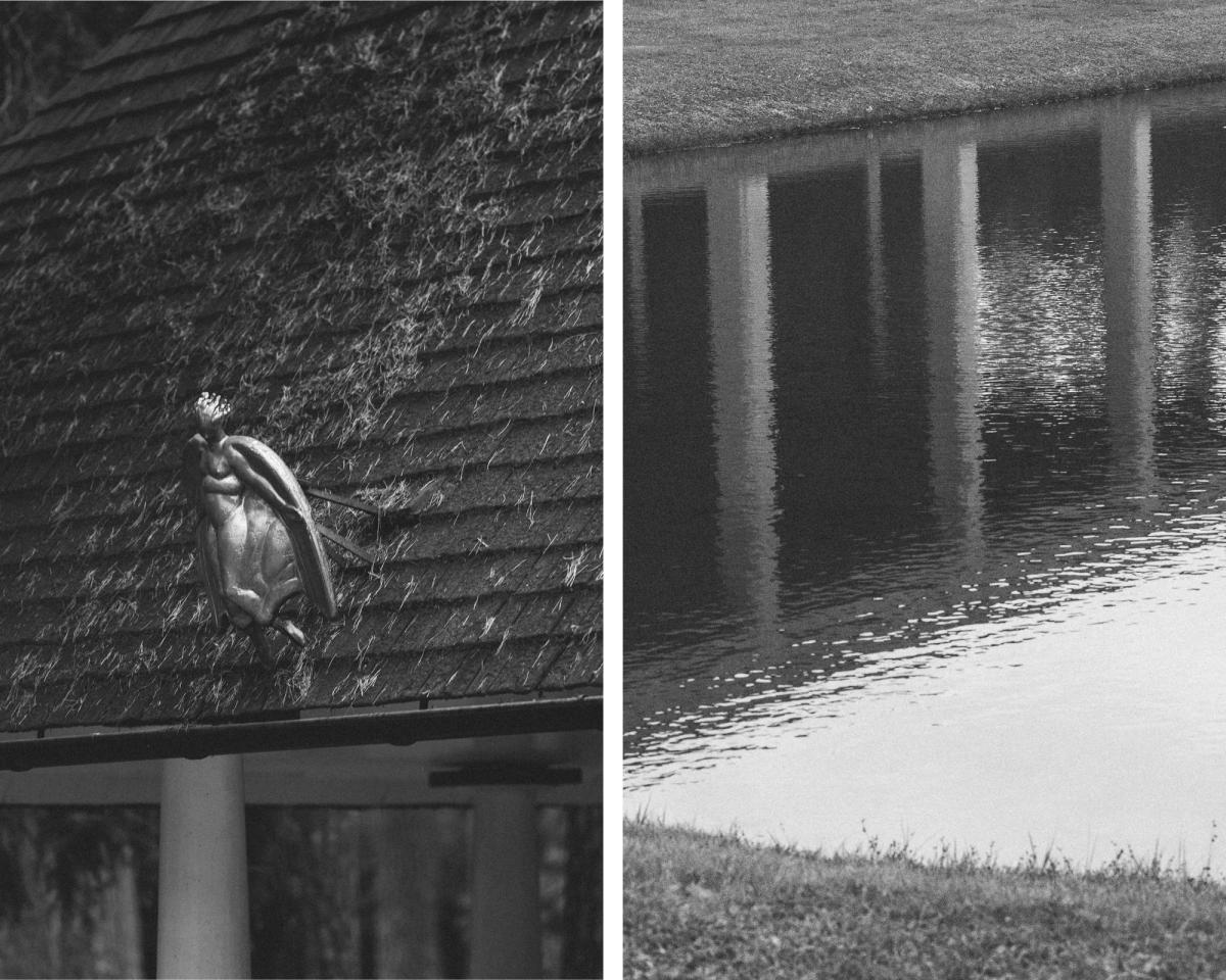 Collage photo d’un toit avec une sculpture en métal et d’une rive de lac en noir et blanc.