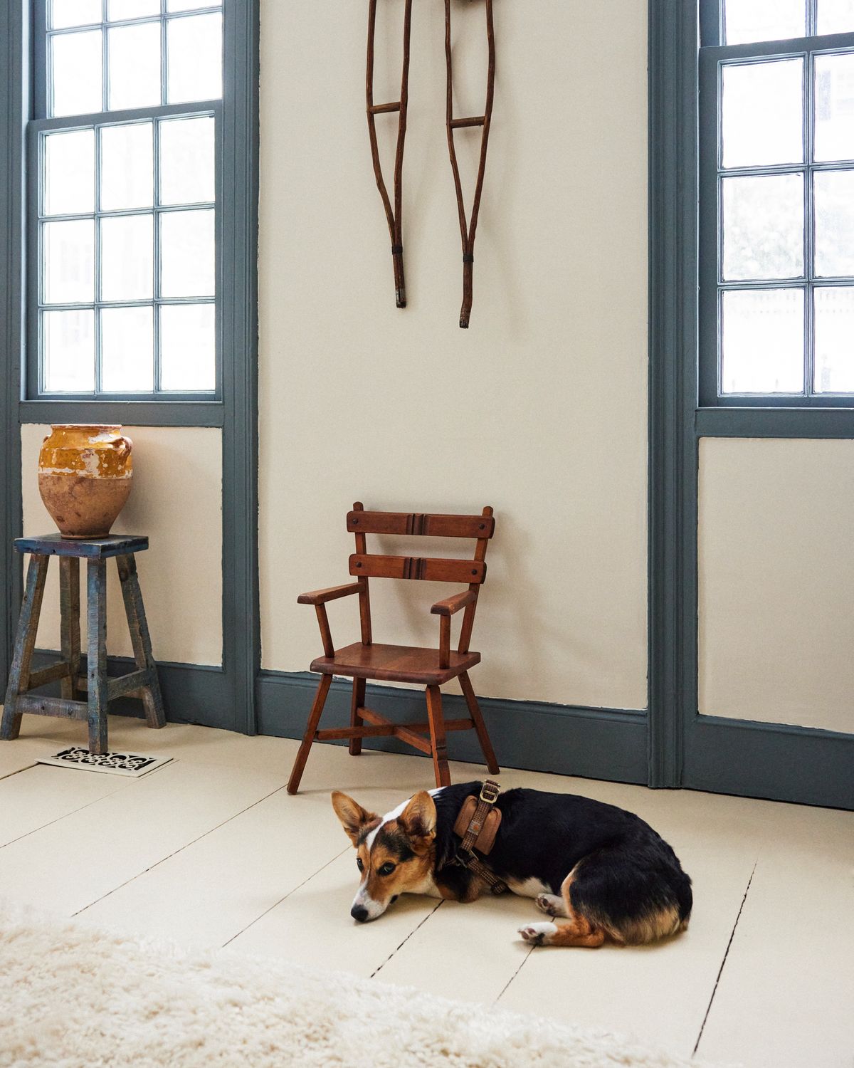 Fields Dusty White and Bernie the dog.