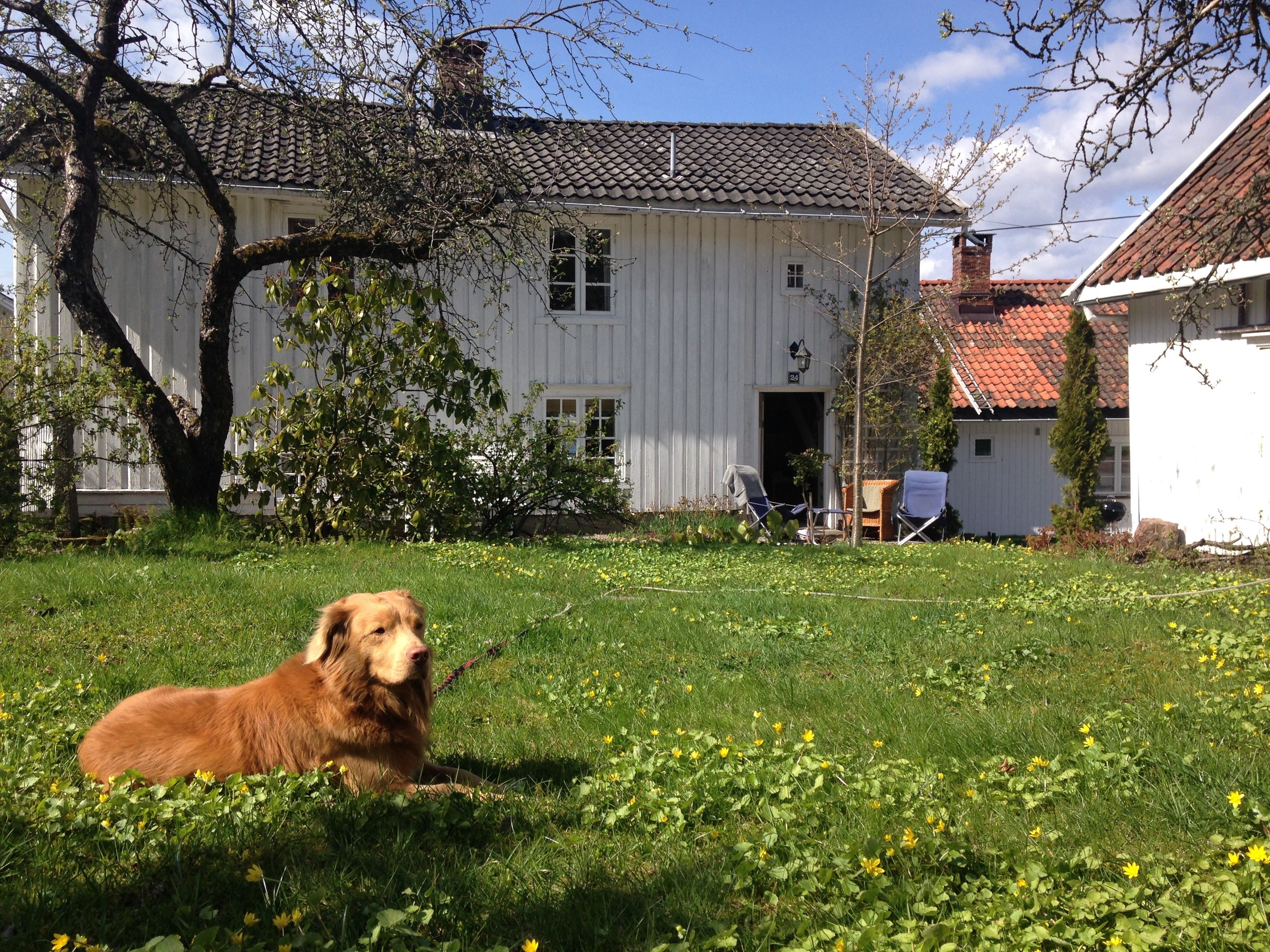 Old wooden house in Støa outside Holmsbu