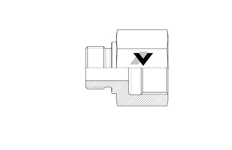BSPP - BSPPf Expander