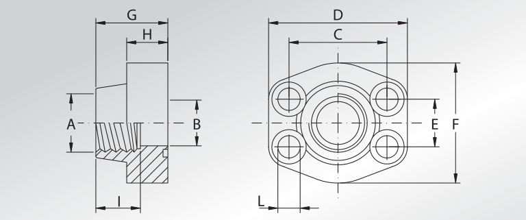BSP Threaded Flanges