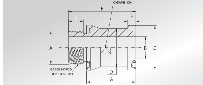 BSP Cylindrical Threaded Long Adapters With Double O-ring Seat
