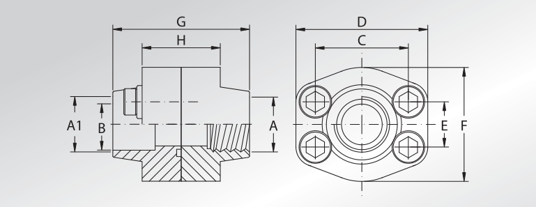 BSP Threaded And Weld In Double Flanges