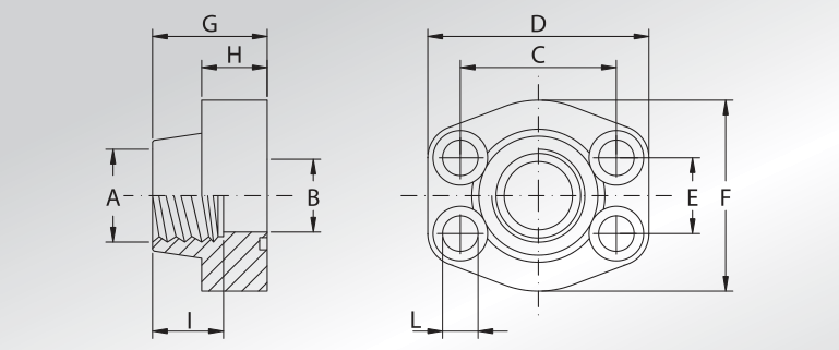 NPT Threaded Flanges