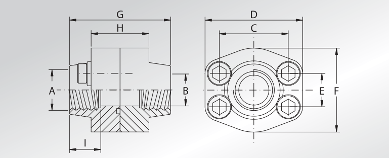 NPT Threaded Double Flanges