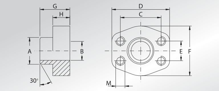 Weld On Counter-flanges Sch.xxs