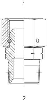 BSPP X NPT F/m