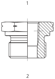 BSPP X NPT M/f