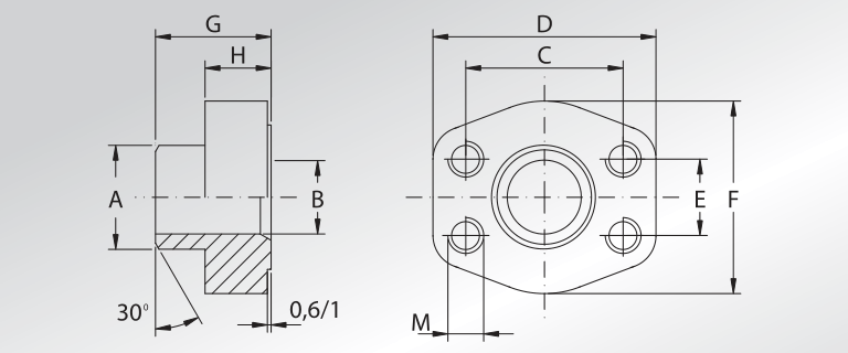 Metric Pipe Cylindric Hole Weld On Counter-flanges 0,6/1