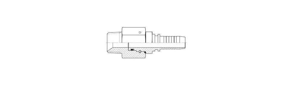 BSPT - Live Swivel Hosetail