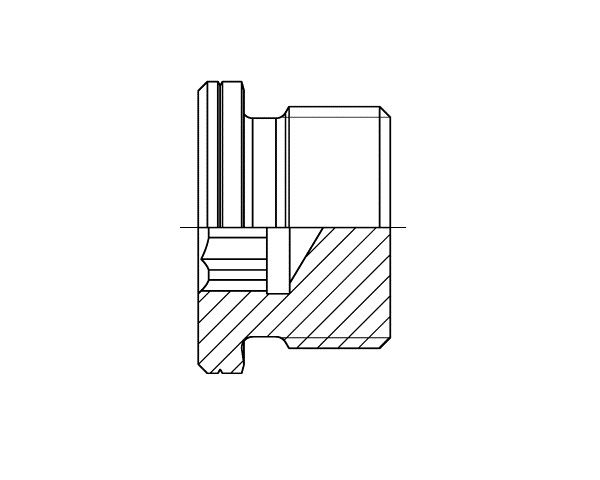 VSCH – BSPP Plug – CS