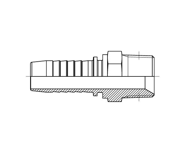 BSPT - Hosetail
