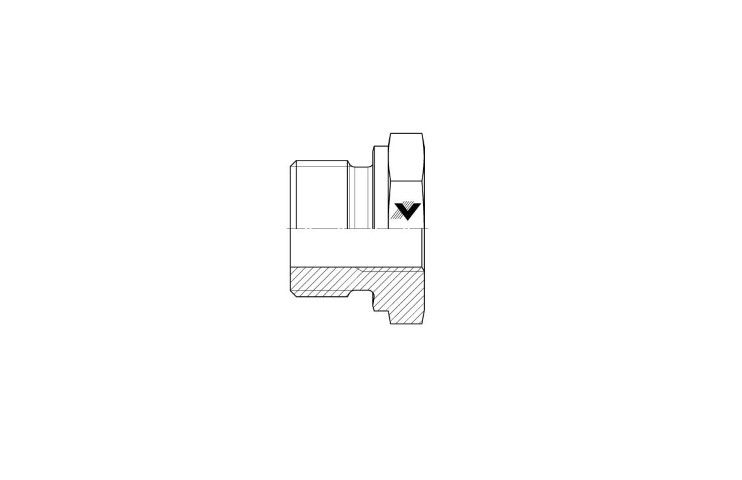 BSPP - BSPPf Reducer