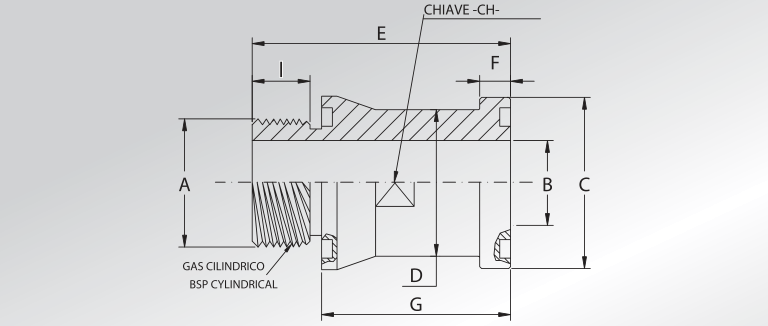 BSP Cylindrical Threaded Adapters With Double O-ring Seat