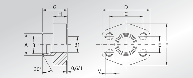 Metric Pipe Weld On Counter-flanges 0,6/1