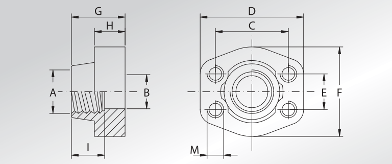 NPT Threaded Counter-flanges