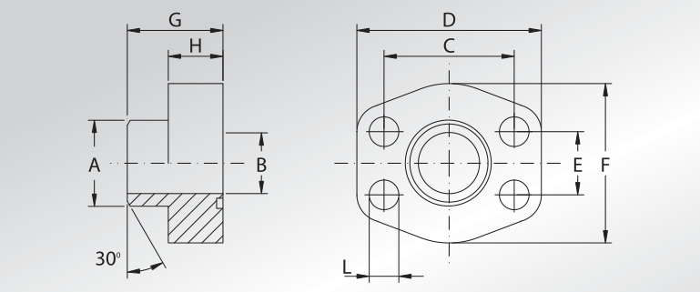 Weld On Flanges Sch.xxs