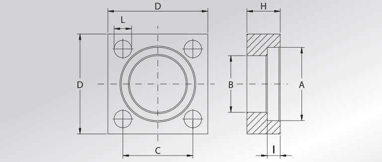 CETOP Flanges