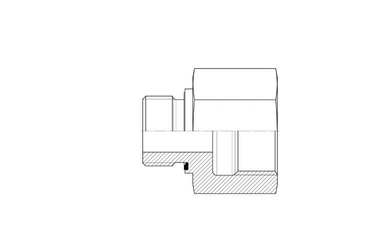 RIBS - BSPP - BSPPf Expander wd seal Form B - CS