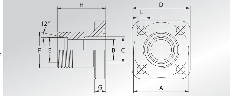 DIN 3901-3902 Metric Threaded Straight Connectors