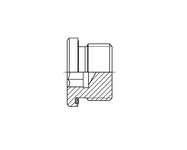 VSCH – BSPP Plug wd seal – CS