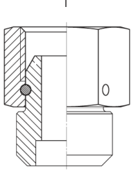 BSPP X Tube/butt Weld F/m