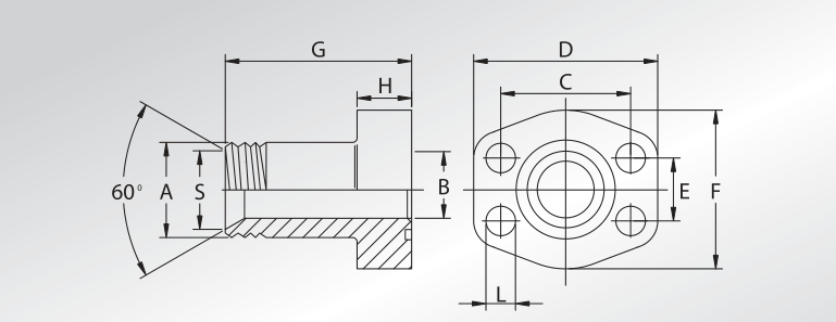 60° Tapered Seat BSP Threaded Flanges
