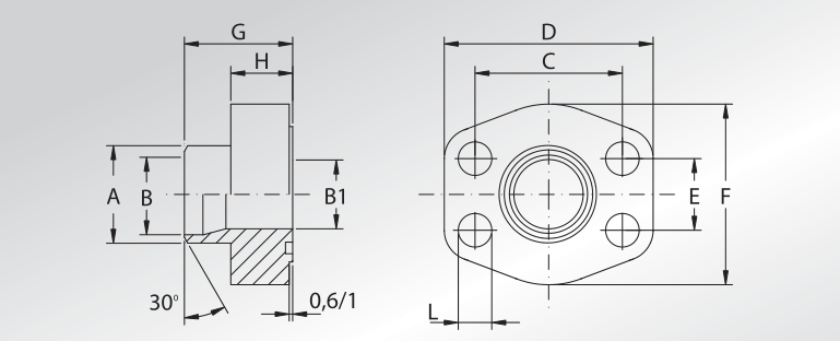 Metric Pipe Weld On Flanges 0,6/1