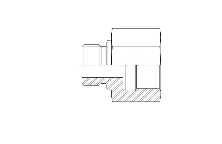RIBS - BSPP - BSPPf Expander Form B - CS