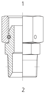 BSPP X BSPT M/f