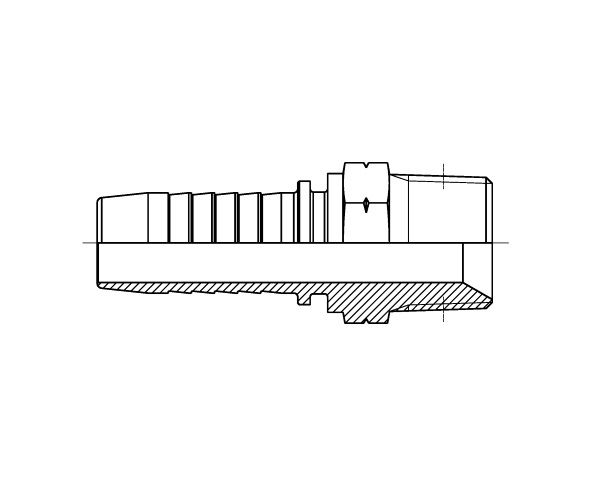 NPT - Hosetail