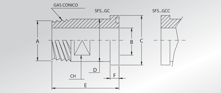 BSP Tapered Threaded Adapters