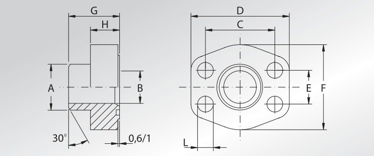 Metric Pipe Cylindric Hole Weld On Flanges 0,6/1